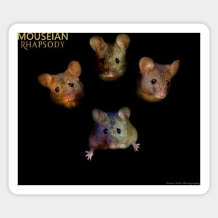 Mouseian Rhapsody - Bohemian Rhapsody Sticker